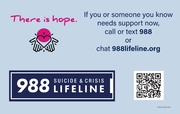 988 Lifeline: There is hope. Call or text 988 or visit 988lifeline.org to chat.