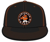 Linked image to CHS Baseball Hats